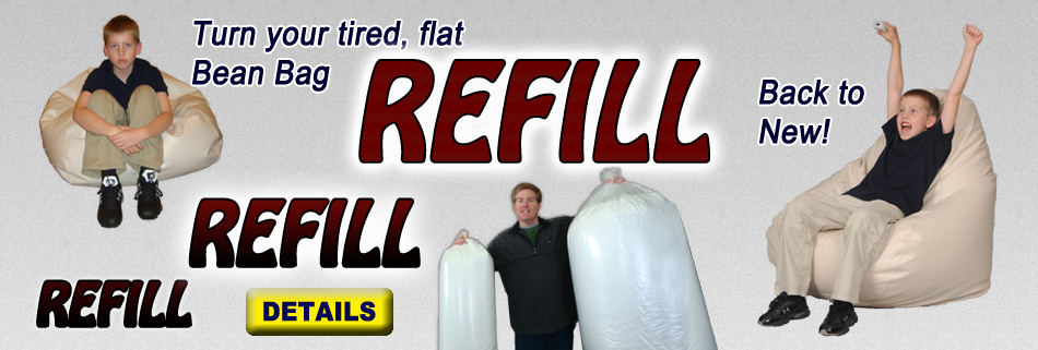 Bean Bag Refill