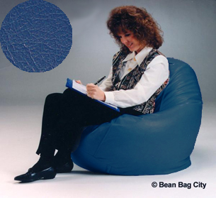 Blueberry Youth Beanbag