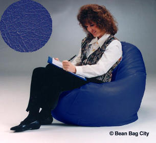 Sapphire Youth Beanbag